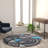 Sioar Blue/Gray Abstract Design Accent Area Rug-102003414
