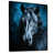 Black Floater Framed