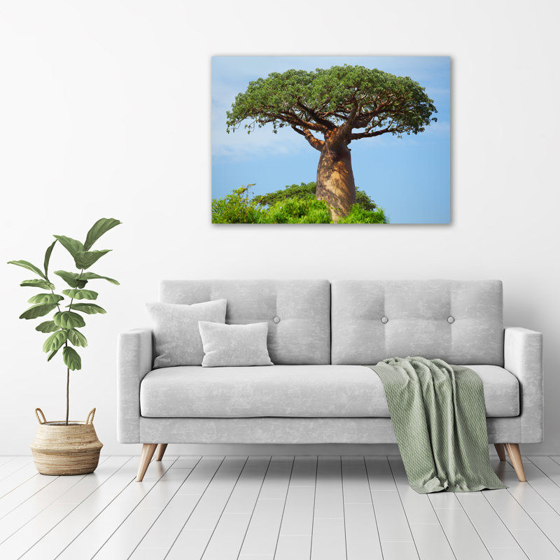 Baobab - Wrapped Canvas Print