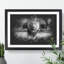 Lion Vol.5 - Picture Frame Graphic Art-62802654-62802655