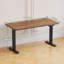 Electric Standing Desk Height Adjustable Desk Sit Stand Desk With Time Reminder Stand up Desk 2 Memory Setting Electric Desk -1206005181-1206005180