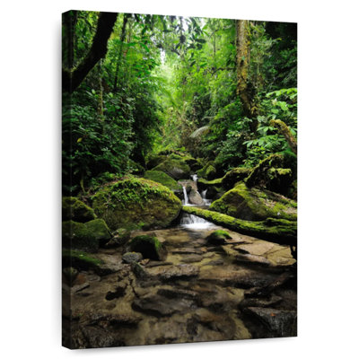 Chutes de la jungle d'Hannes