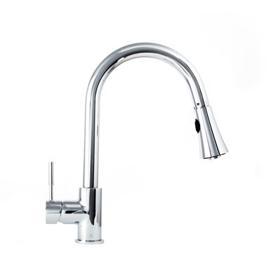 Edison Single Handle Kitchen Faucet with Side Spray and Accessories