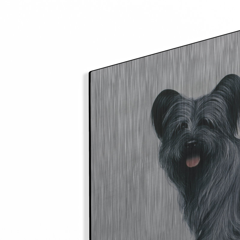 «Sky Terrier» par Harro Maass, H 24 po x l 36 po