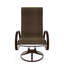 Aruba II Sling Aluminum Frame Supreme Swivel Rocker-750560602-746737407