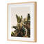 Equaltorial Print by Alicia Bock-1881688360-1881688362