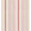 CHARLOTTE STRIPE-1945965984