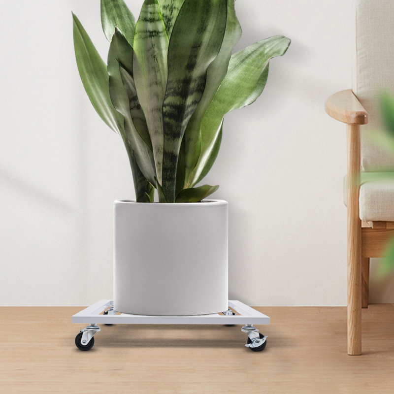 Support pour plante Quintavia, H 3,15 po x L 16 po x P 16 po, Blanc