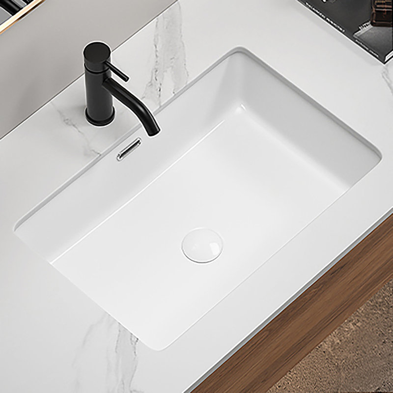 undermount Kitchen Sink, Eridanus 24" L x 16" W Undermount Kitchen Sink White Ceramic Sink Deep Single Bowl without Bottom Grid and Strainer Drain