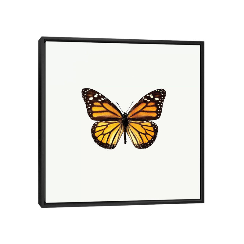 «Yellow Butterfly I», impression sur toile, H 18 po x l 18 po x P 1,5 po, Toile avec cadre noir