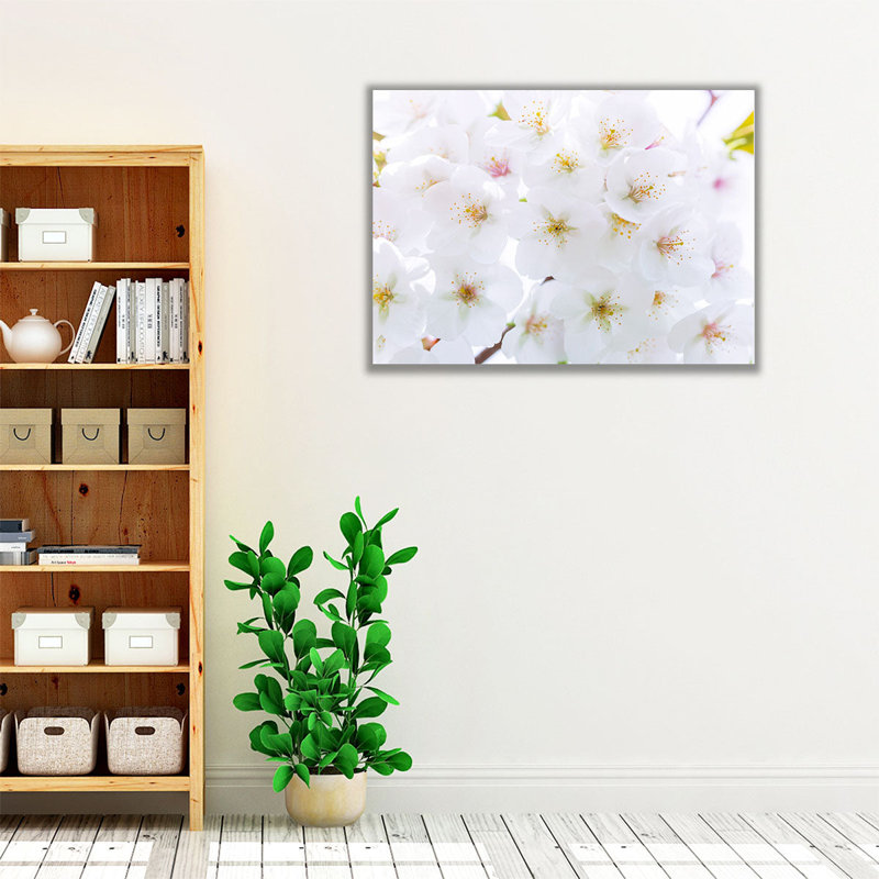 «Blossom», reproduction d'art sur toile, H 12 po x l 16 po