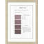 Violet 1 Framed Textual Art