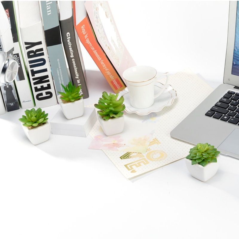Mini plantes grasses artificielles en pots