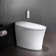 Tankless Smart Bidet Toilet, Chair Height, Booster Pump, Auto/Foot Sensor Flush, Power Outage Flush