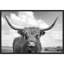 «Highland Cow On The Ranch» par Andre Eichman, reproduction d'art sur toile encadrée-89587263