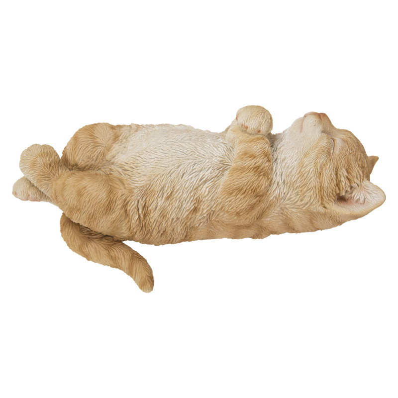 Sleeping Cat, Orange