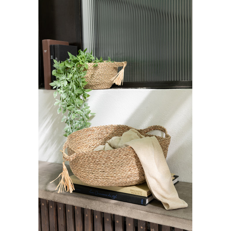 Highland Dunes Waylan Solid Wood Box