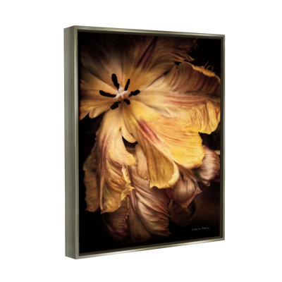 " Modern Hibiscus Photography " by Debra Van Swearingen
