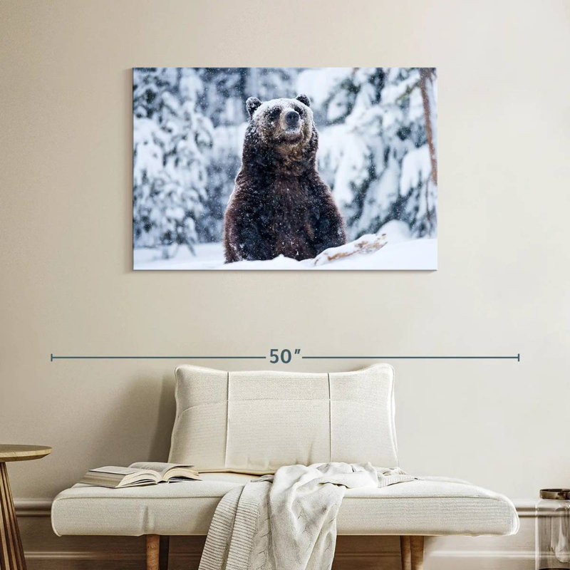 Grizzly dans la neige, H 26 po x l 39 po