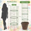 Sheldrake 154cm H x 50cm W Metal Obelisk Trellis