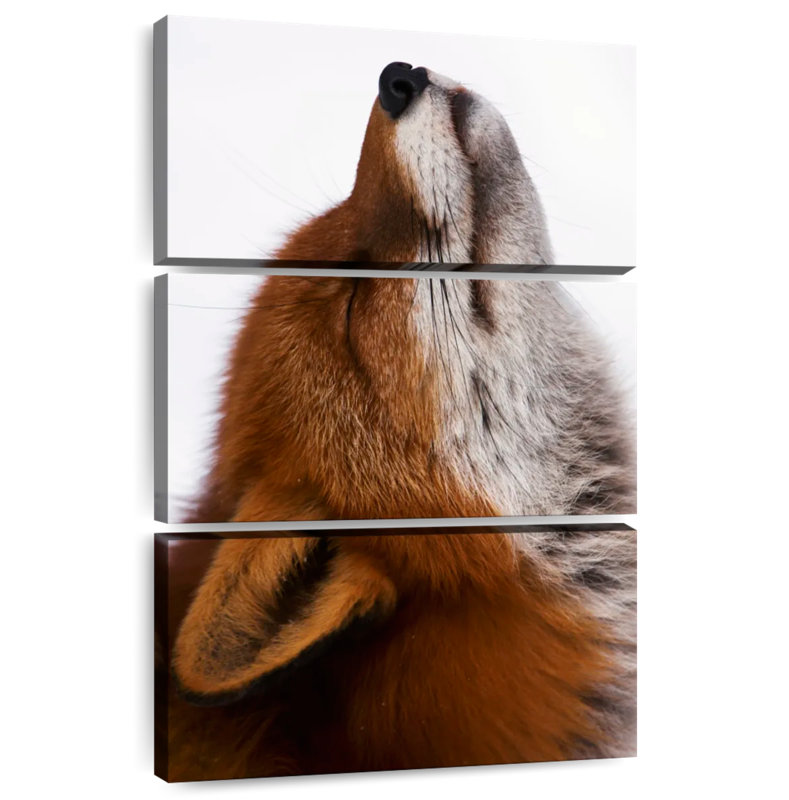 Brampt Red Fox Daydreaming, 38" H x 24" W