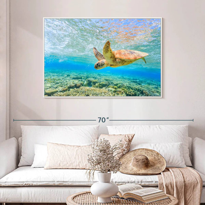 Plongée tortue, 46 po x 31 po, Cadre flottant blanc