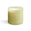 Wild Honeysuckle Classic Candle-1389704483