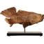 Figurine de poisson