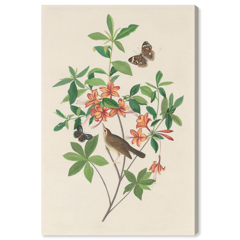«Orange Azalea», reproduction d'art sur toile par Art Remedy, H 45 po x l 30 po, Toile tendue avec châssis
