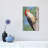 " Red Bellied Woodpecker " by Brian Wolf-59567111