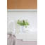 OMIA Soap Dish-540791744
