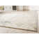 Tran Abstract Area Rug