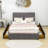 Upholstered Platform Storage Bed-844367844