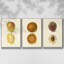 Mango - ensemble de 3 reproductions sur toile-1253735424-1253735439