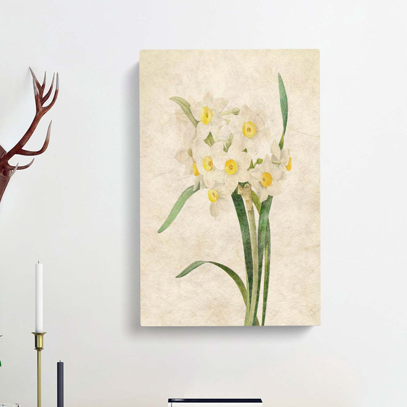 White Daffodils by Pierre-Joseph Redoute - Wrapped Canvas, 76cm H x 50cm W x 3cm D