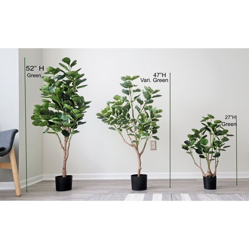 Faux Money Tree Plant in Pot, 47" H x 22" W x 22" D