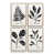 American Maple