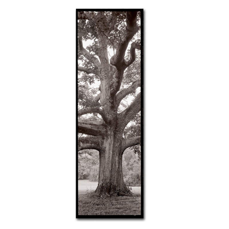 "Hampton Field Tree II" par Alan Blaustein, reproduction de photo, H 32 po x l 10 po x P 2 po