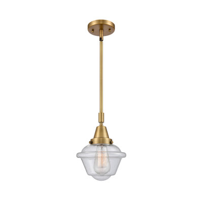 Luminaire suspendu simple à 1 lumière