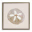 Cadre flottant Serene Beige Sand Dollar, design par Lanie Loreth-904501947-904501950