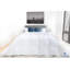 Dijon All Season 625 Fill Power White Duck Down Comforter-558426543
