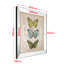 Yoel Mirror Beveled Picture Frame-22088417