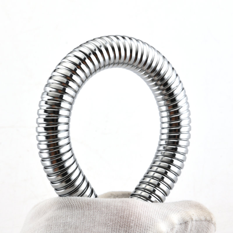 Handheld Shower Head 2.5 GPM GPM