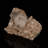 Twin Dolomite