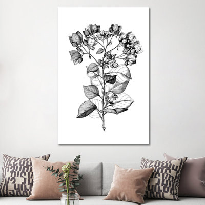 Botanical Black And White I 1 Piece Wrapped Canvas Wall Art