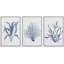 Feuille de plante bleue 3 pièces-91874805-91874808