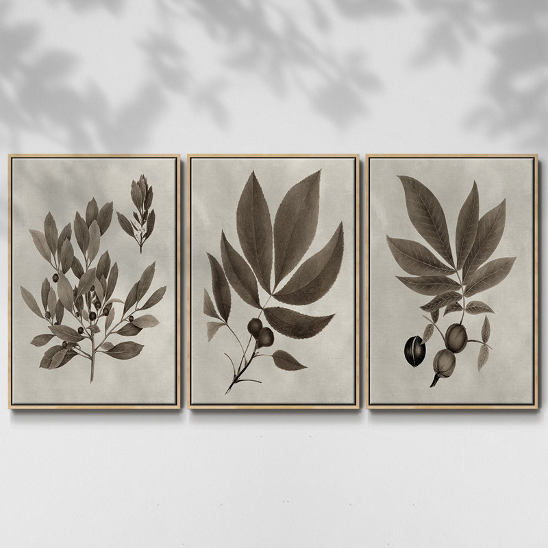 Arbor Speciment IV - ensemble de 3 reproductions de photos sur toile, Naturel, H 36 po x l 72 po