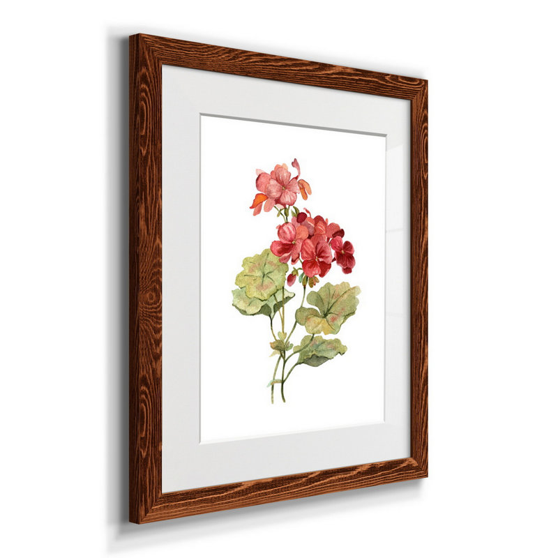 Écarlate géranium - Reproduction d'art sur papier encadrée, H 24 po x l 18 po x P 1,5 po, Érable