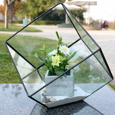 Terrarium en verre Raekwon Heptahedron