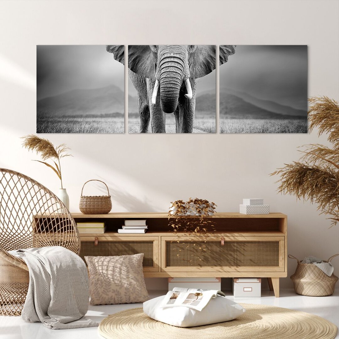 3-tlg. Fotodruck-Set Elephant Wildness Nature